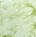 Honeydew Tie Dye