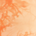 Peach Rings Tie Dye