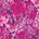 Pop Rocks Fashun Print